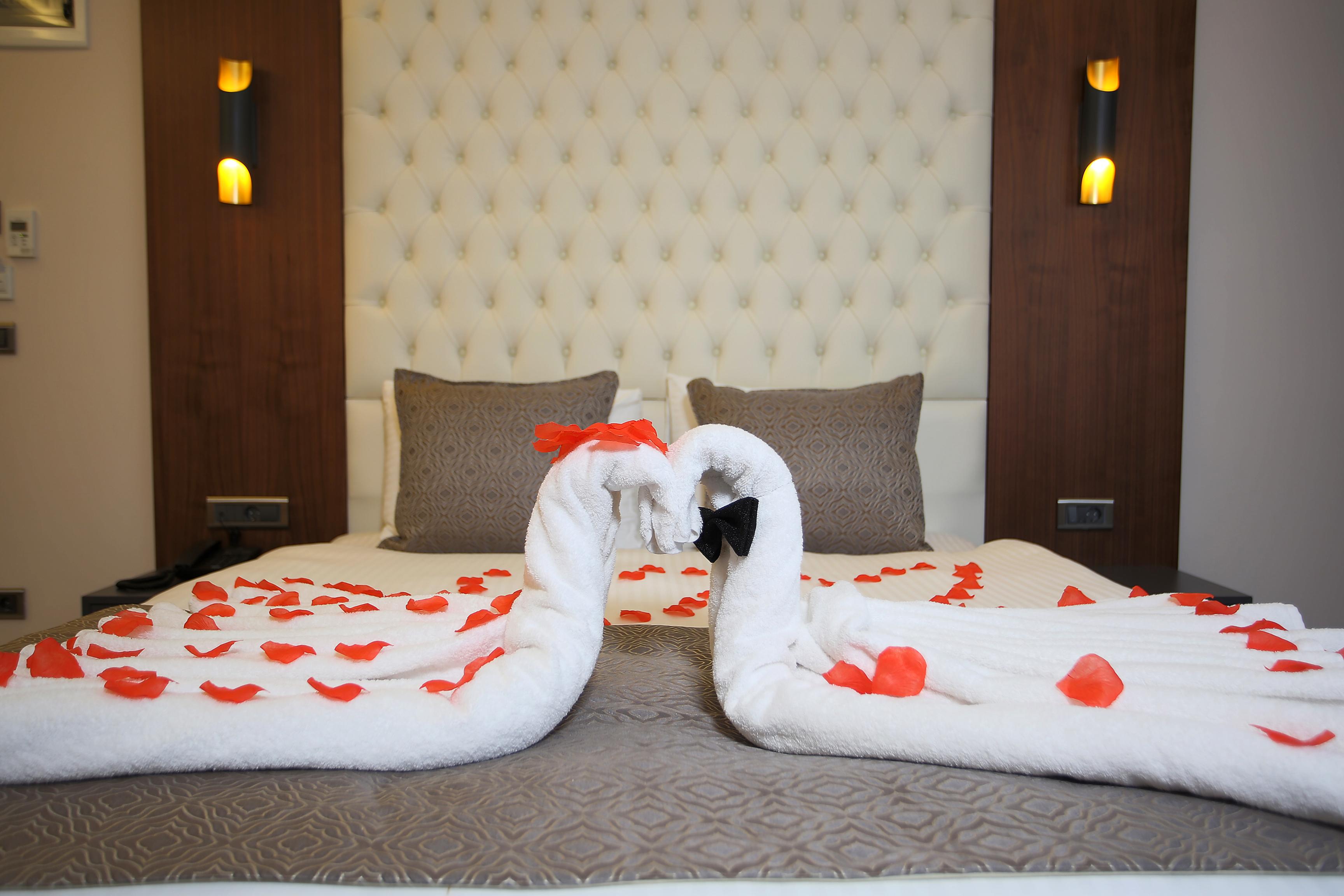 Hotel My Dream